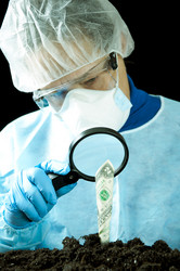 Similar image 505205