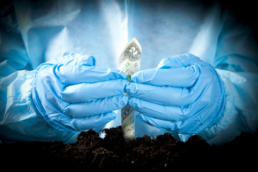 Similar image 505213