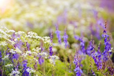 Similar image 505220