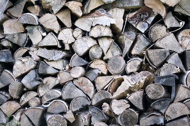 Similar image 505226