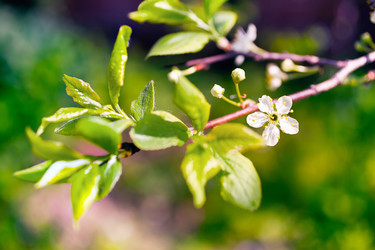 Similar image 505231