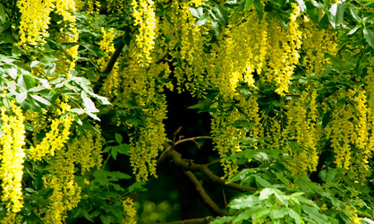 Similar image 505262