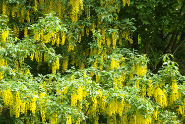 Similar image 505265