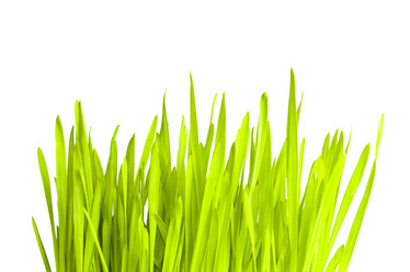 Similar image 505274