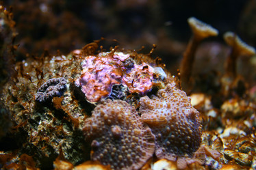 Similar image 505296