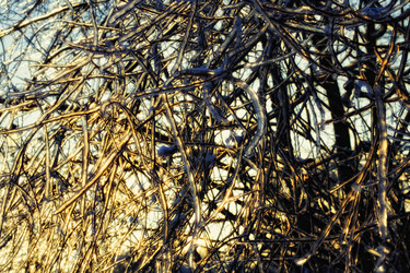 Similar image 505321