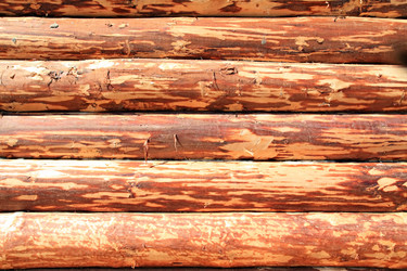 Similar image 505338