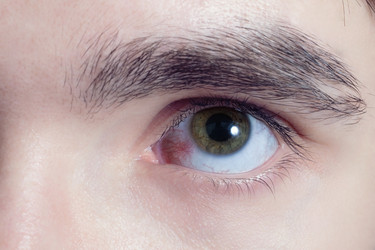 Similar image 505339