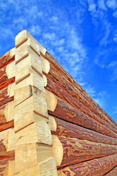 Similar image 505343