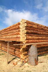 Similar image 505345