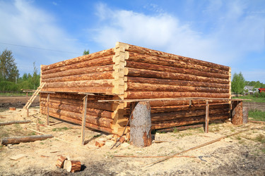 Similar image 505348