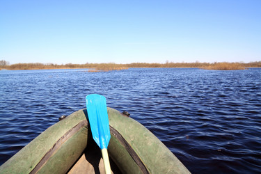 Similar image 505360