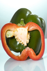 Similar image 505363