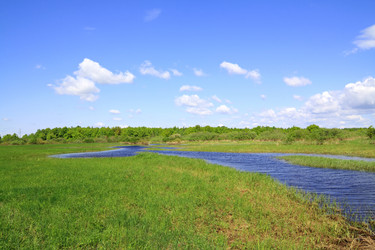 Similar image 505364