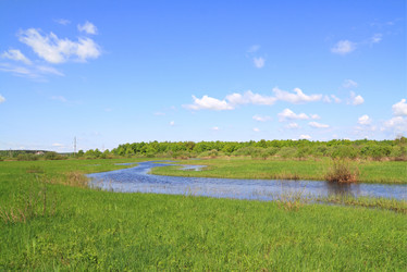 Similar image 505365