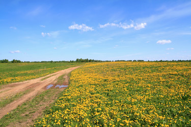 Similar image 505369