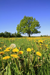 Similar image 505385