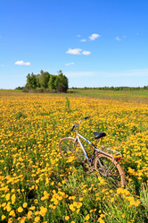 Similar image 505391