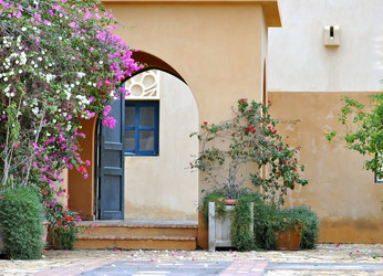 Similar image 505451