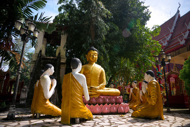 Similar image 505515