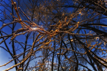 Similar image 505516