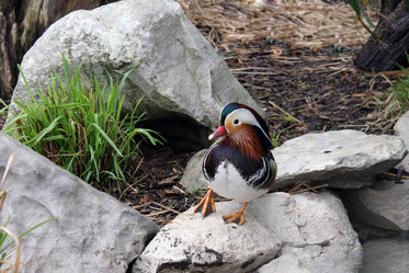 Similar image 505525