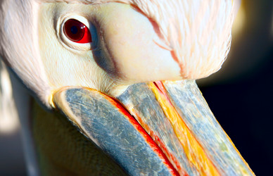 Similar image 505528