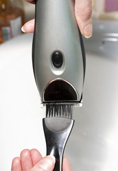 Similar image 505529