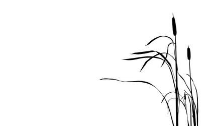 Similar image 505532