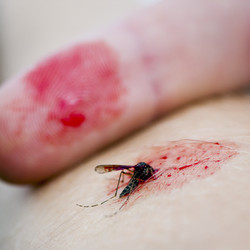 Similar image 505551