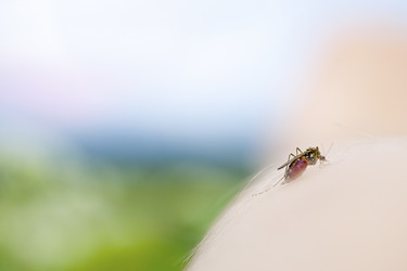 Similar image 505552