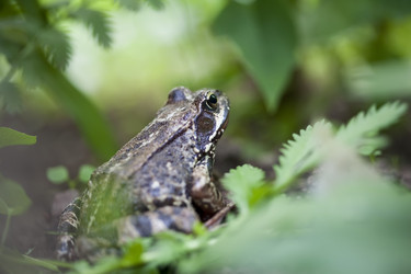 Similar image 505557