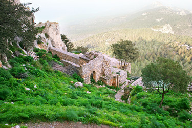 Similar image 505562