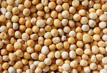 Similar image 505606