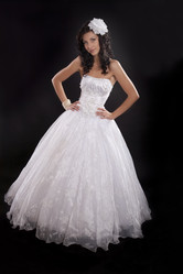 Similar image 505625