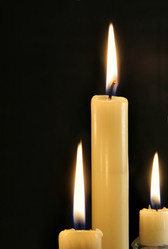 Similar image 505640