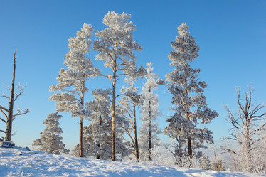 Similar image 505660