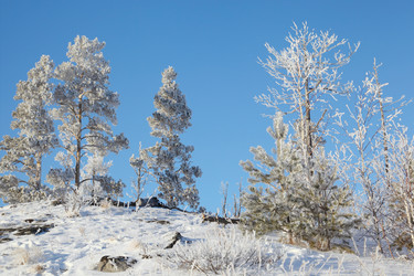 Similar image 505663