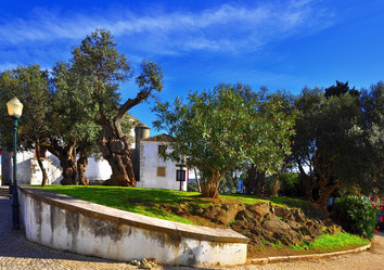 Similar image 505667