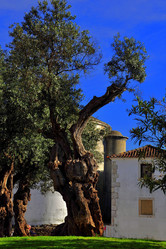 Similar image 505671