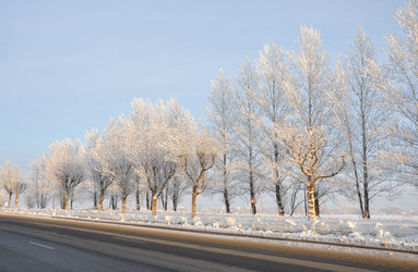 Similar image 505732