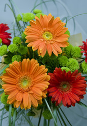 Similar image 505748