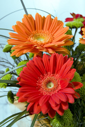 Similar image 505753