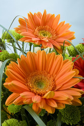 Similar image 505756