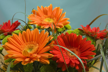 Similar image 505760