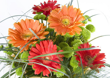 Similar image 505764