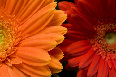 Similar image 505770