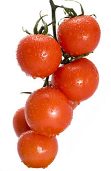 Similar image 505863