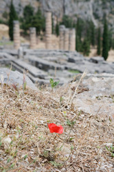 Similar image 505869