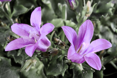 Similar image 505876